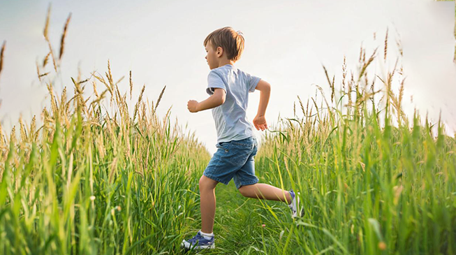 Как защитить детей от клещей