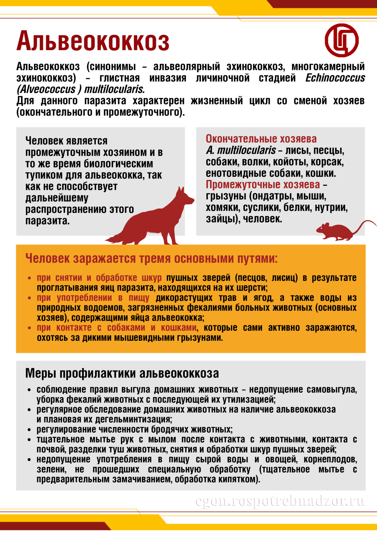 Альвеококкоз
