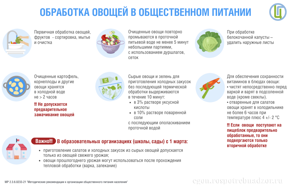 Обработка овощей в общественном питании
