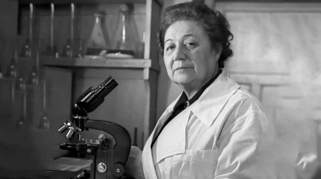 Врач, который помог отстоять Сталинград. Подвиг З.В. Ермольевой