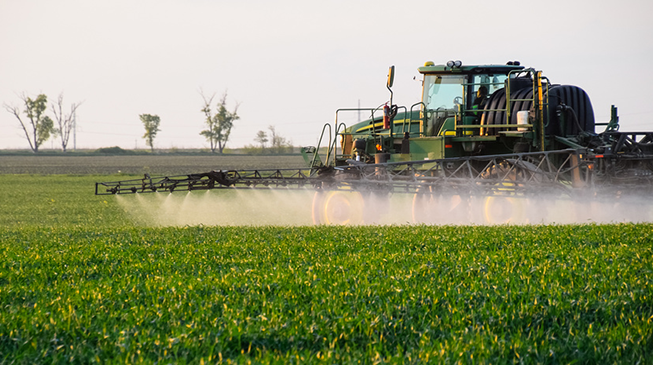 Агрохимикаты: нитраты и нитриты