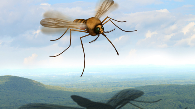 Всемирный день борьбы с малярией