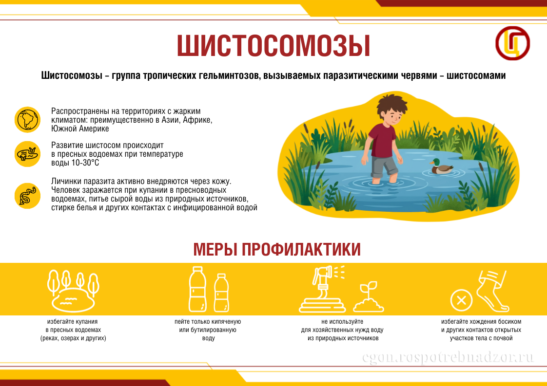 Шистосомозы