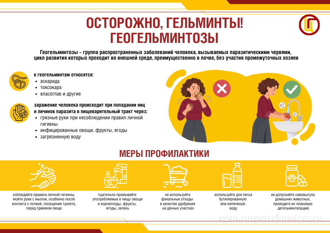 Осторожно, гельминты! Геогельминтозы