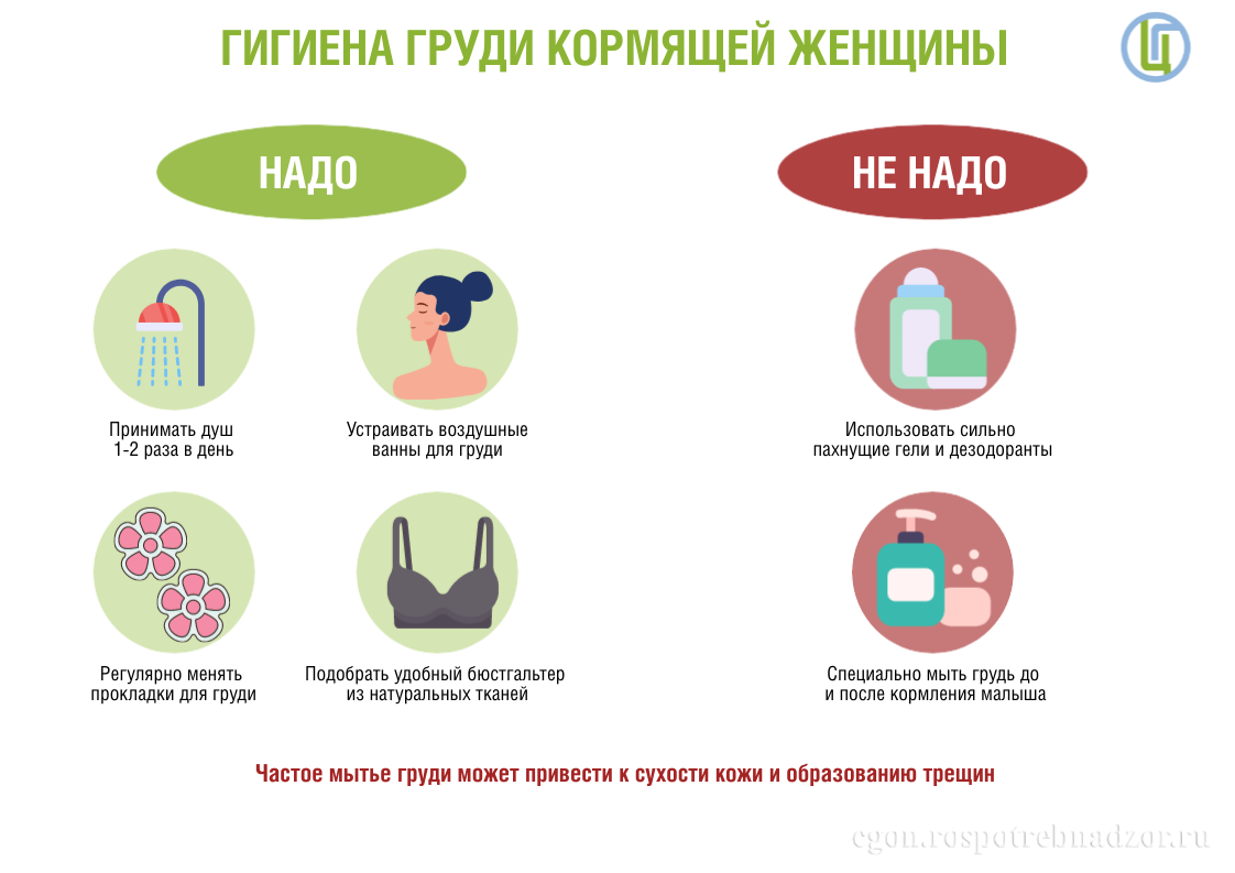 Гигиена груди кормящей женщины