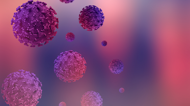 Болезнь, вызванная вирусом Марбург (геморрагическая лихорадка Марбург)