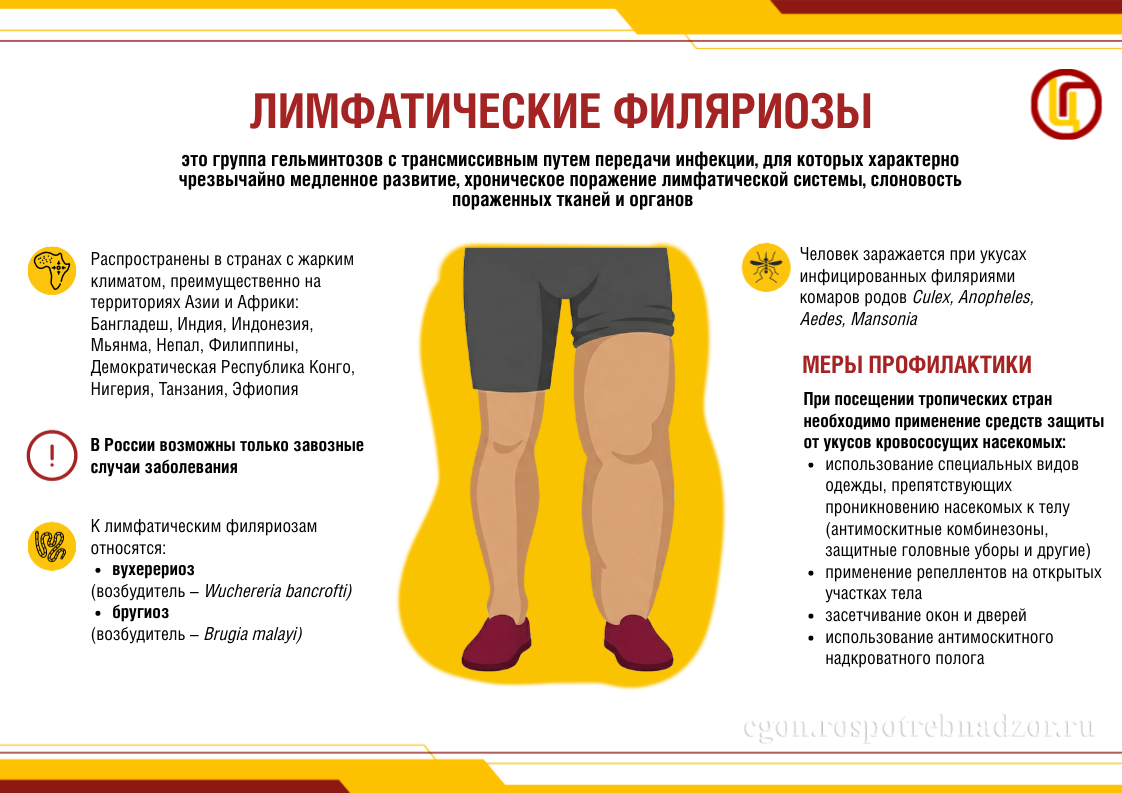 Лимфатические филяриозы