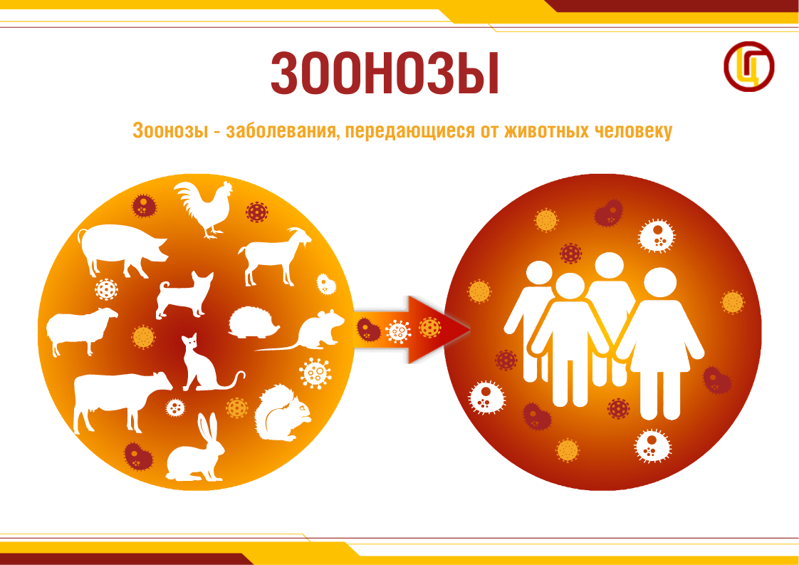 Зоонозы