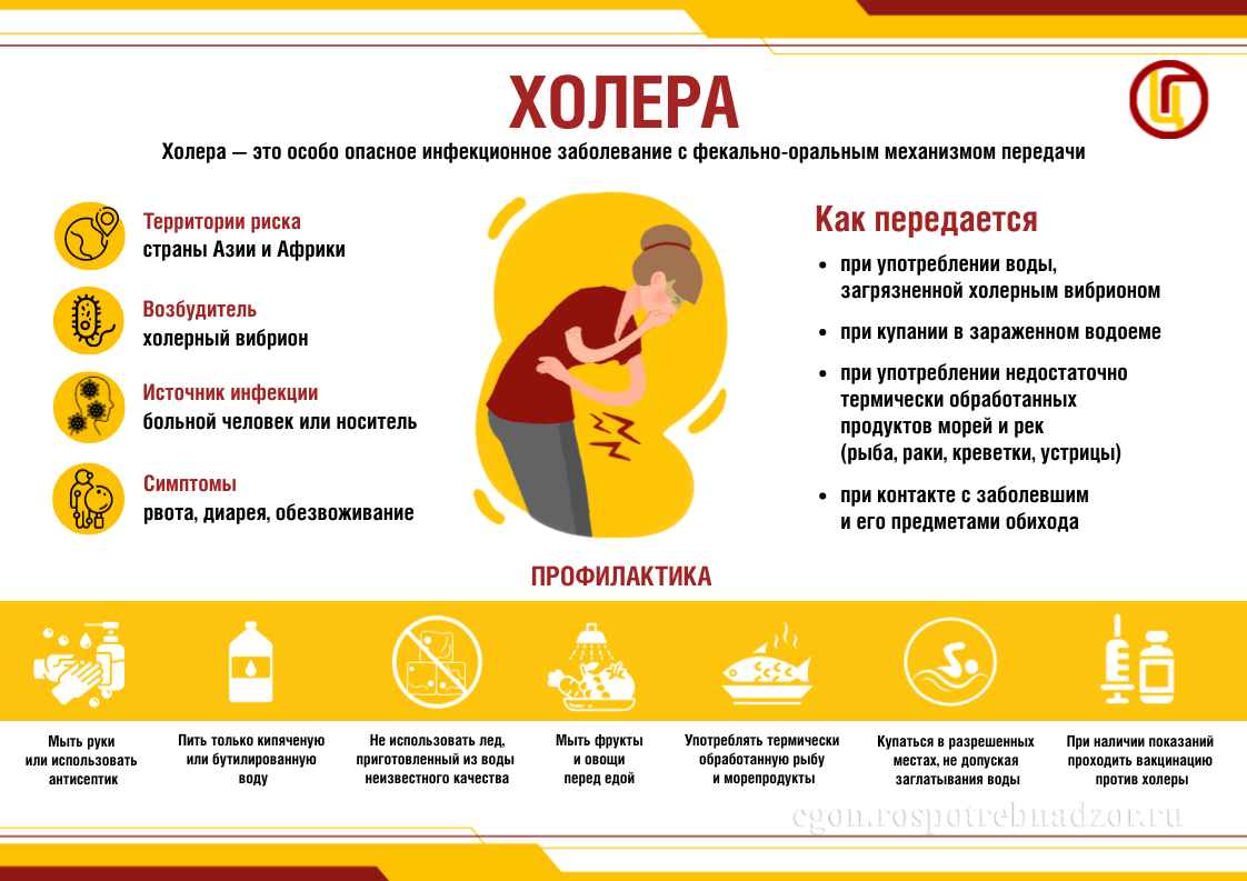 Холера