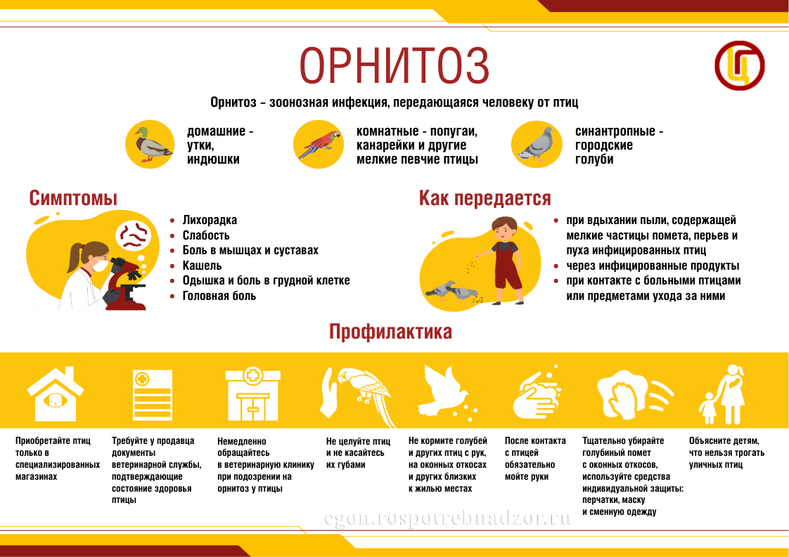 Орнитоз