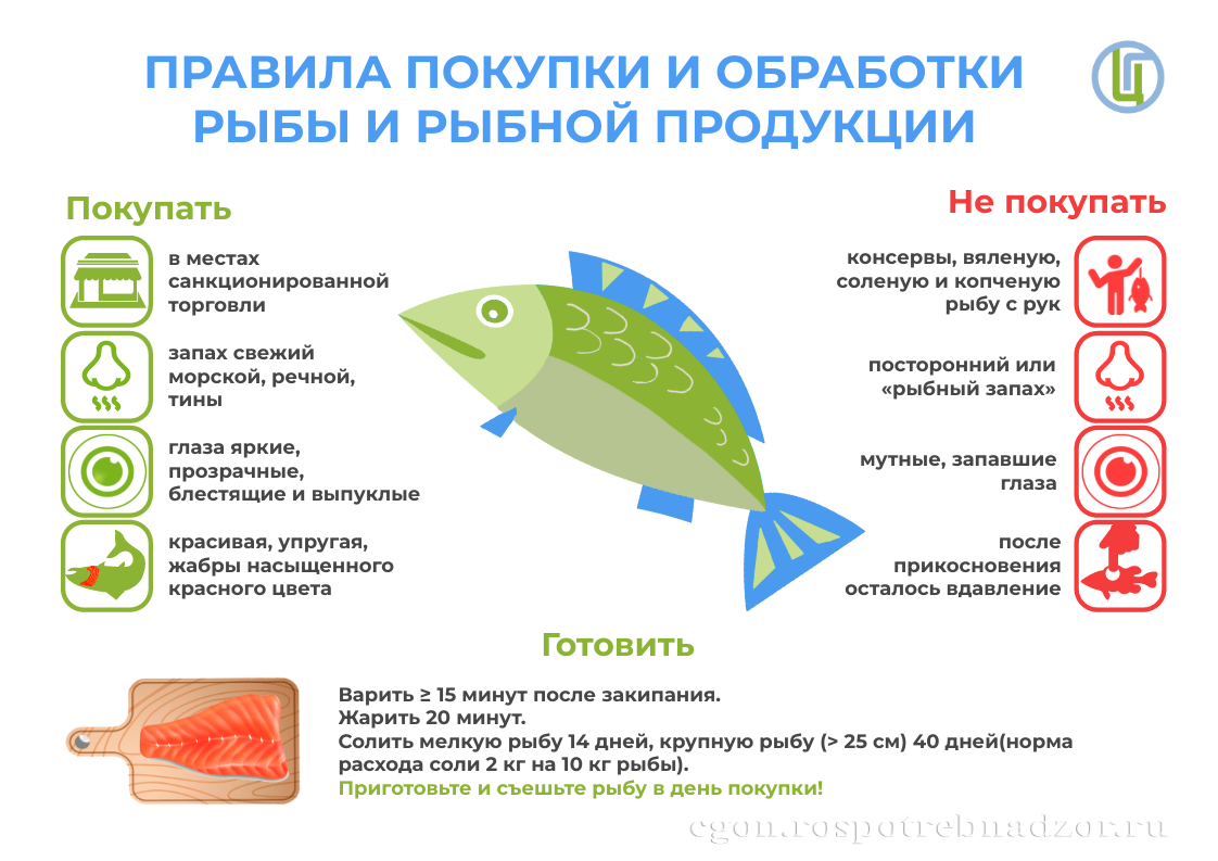 Правила покупки и обработки рыбы и рыбной продукции