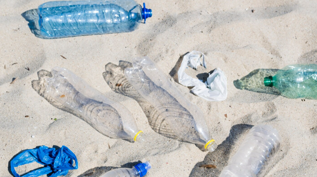 Загрязнение пластиком. Как мы можем помочь?