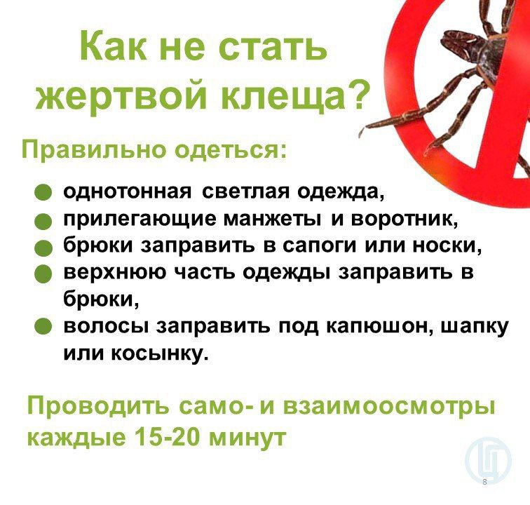 Как не стать жертвой клеща? Как не стать жертвой клеща?