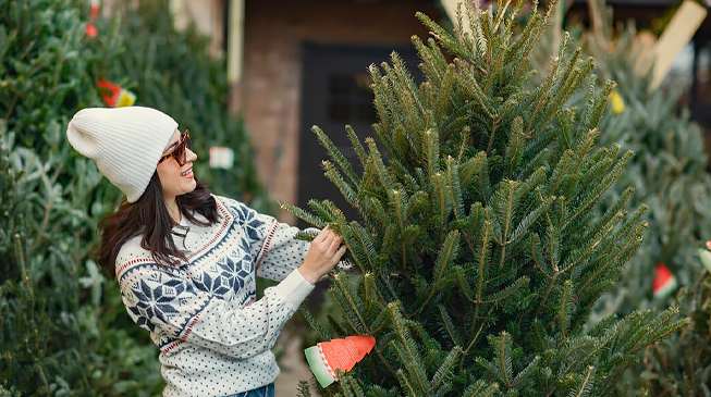 Как выбрать Елку?