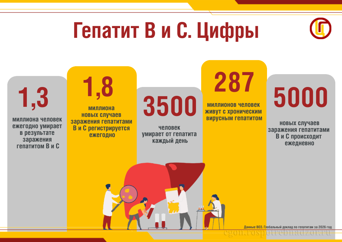 Гепатит В и С. Цифры