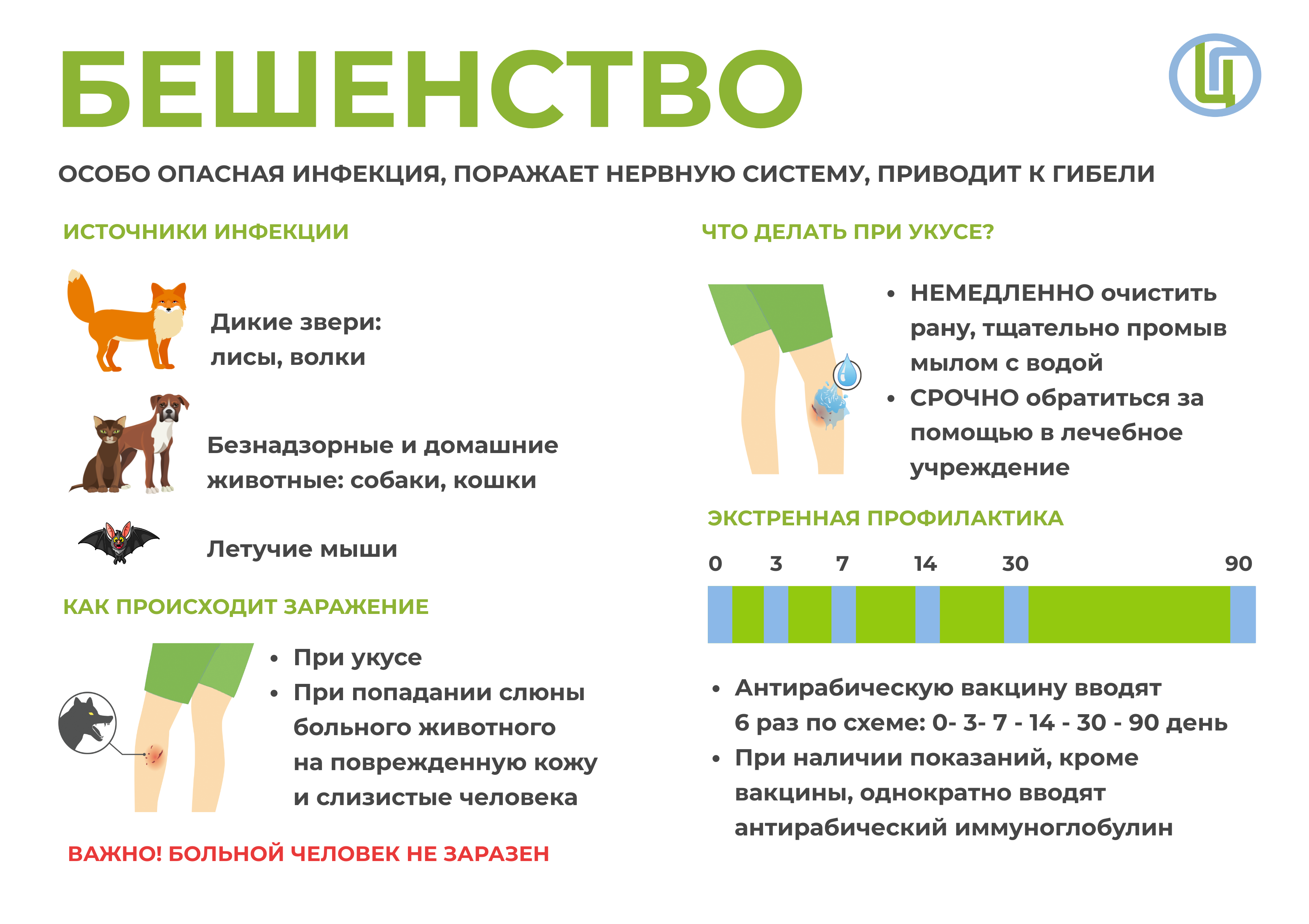 Терапевт объяснила, можно ли заниматься сексом после вакцинации – Москва 24, 