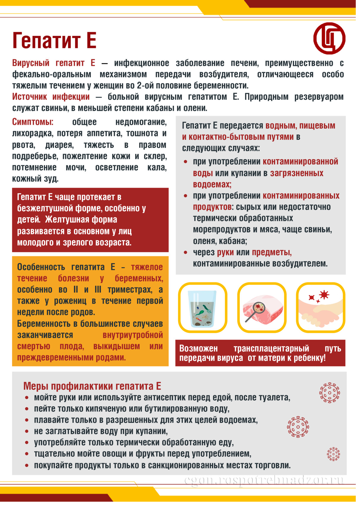 Гепатит Е 