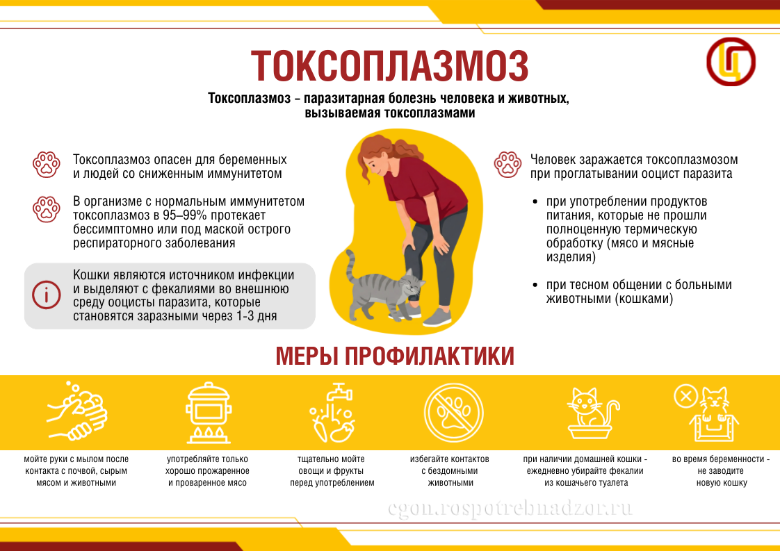 Токсоплазмоз