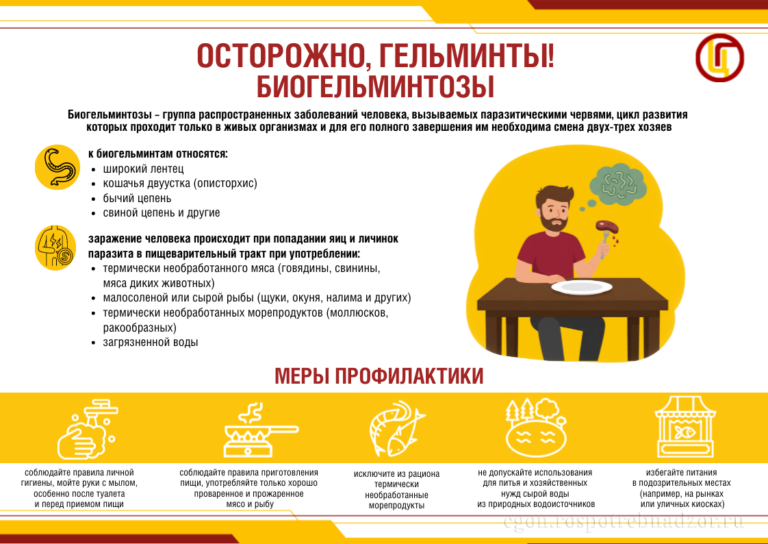 Осторожно, гельминты! Биогельминтозы