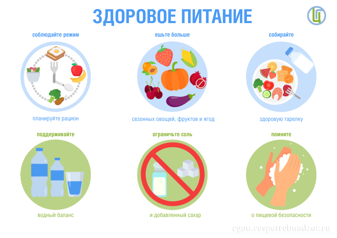 Здоровое питание