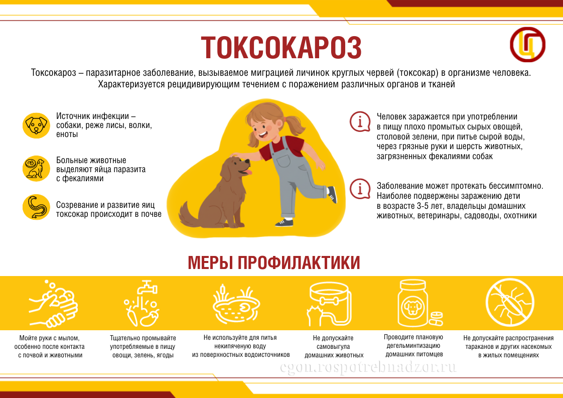 Токсокароз