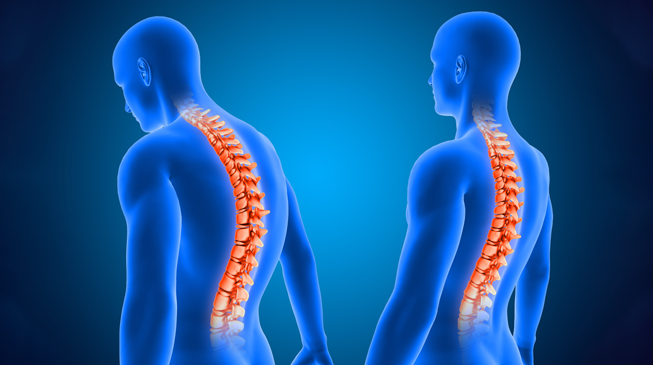 На что влияет осанка человека?