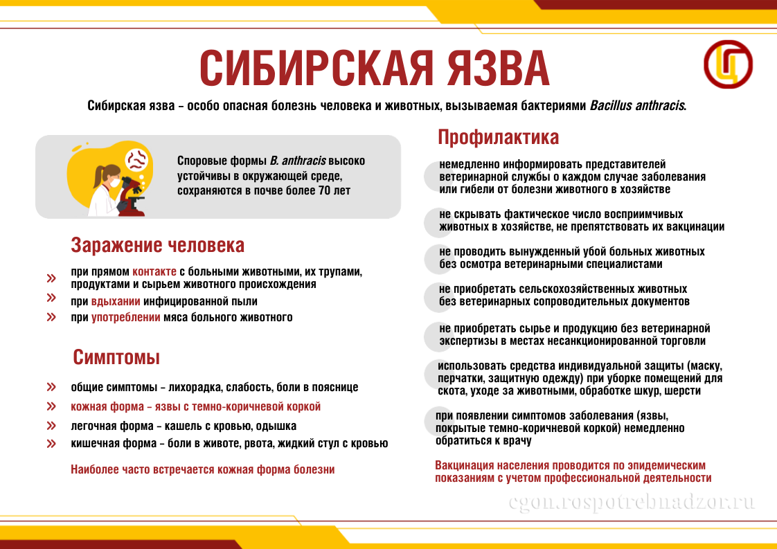 Сибирская язва