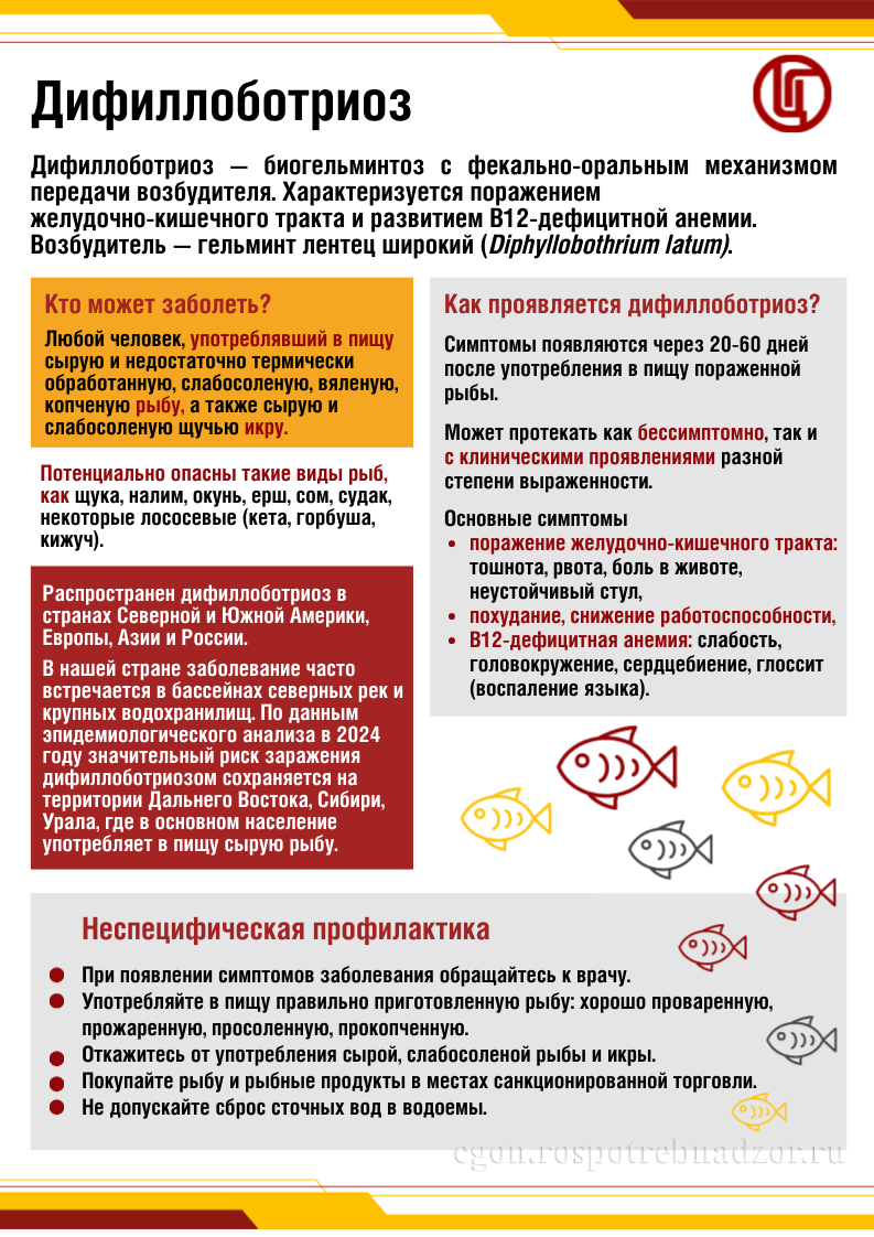 Дифиллоботриоз