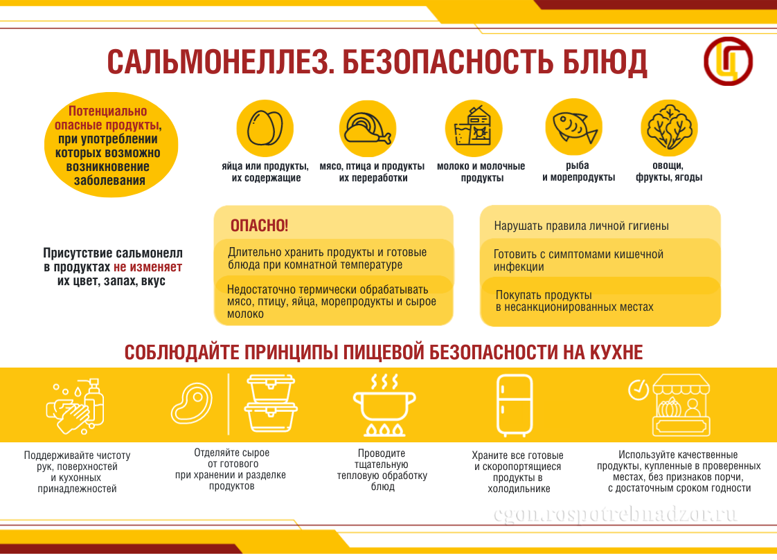 Сальмонеллез. Безопасные блюда