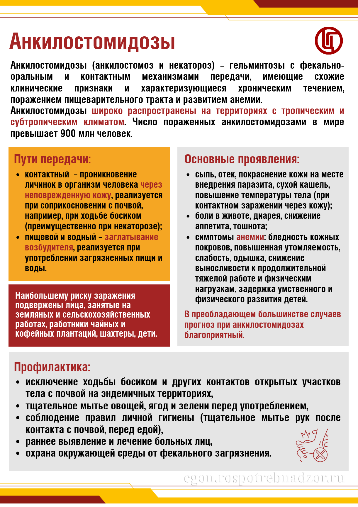 Анкилостомидозы