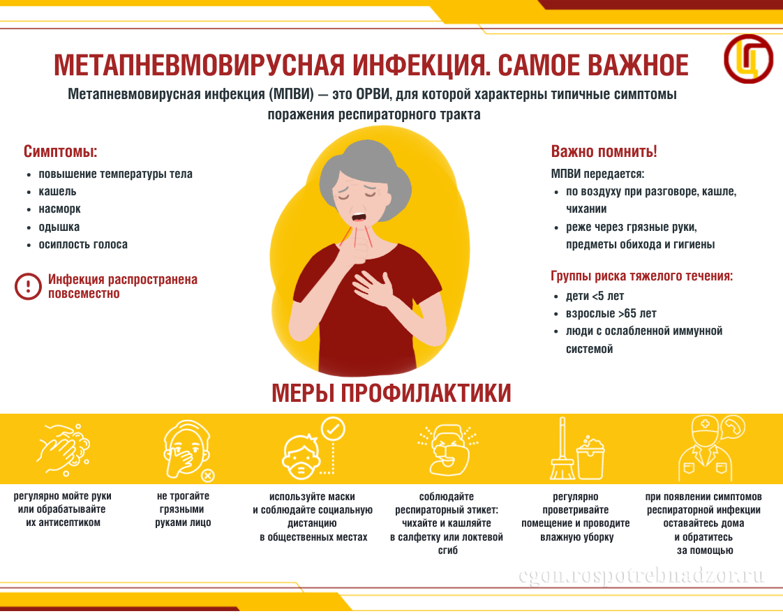 Метапневмовирусная инфекция. Самое важное