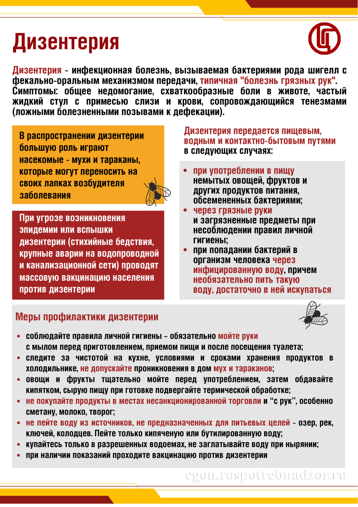 Дизентерия