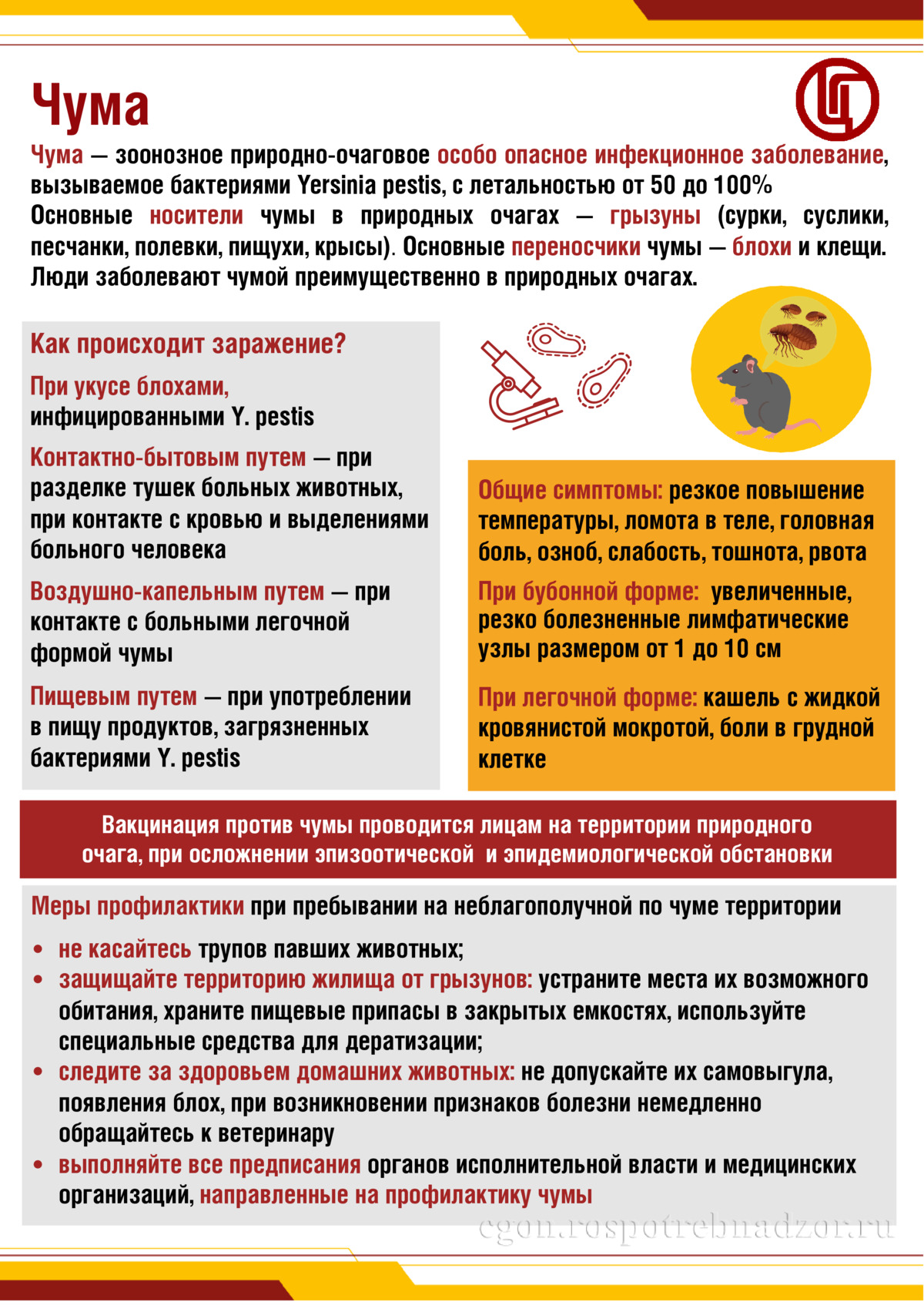 Чума