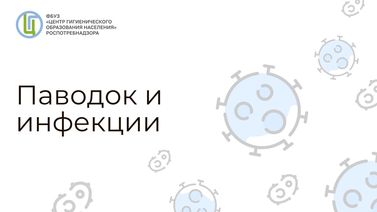 Слайд1.JPG